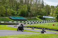 Lower Group Black Bikes